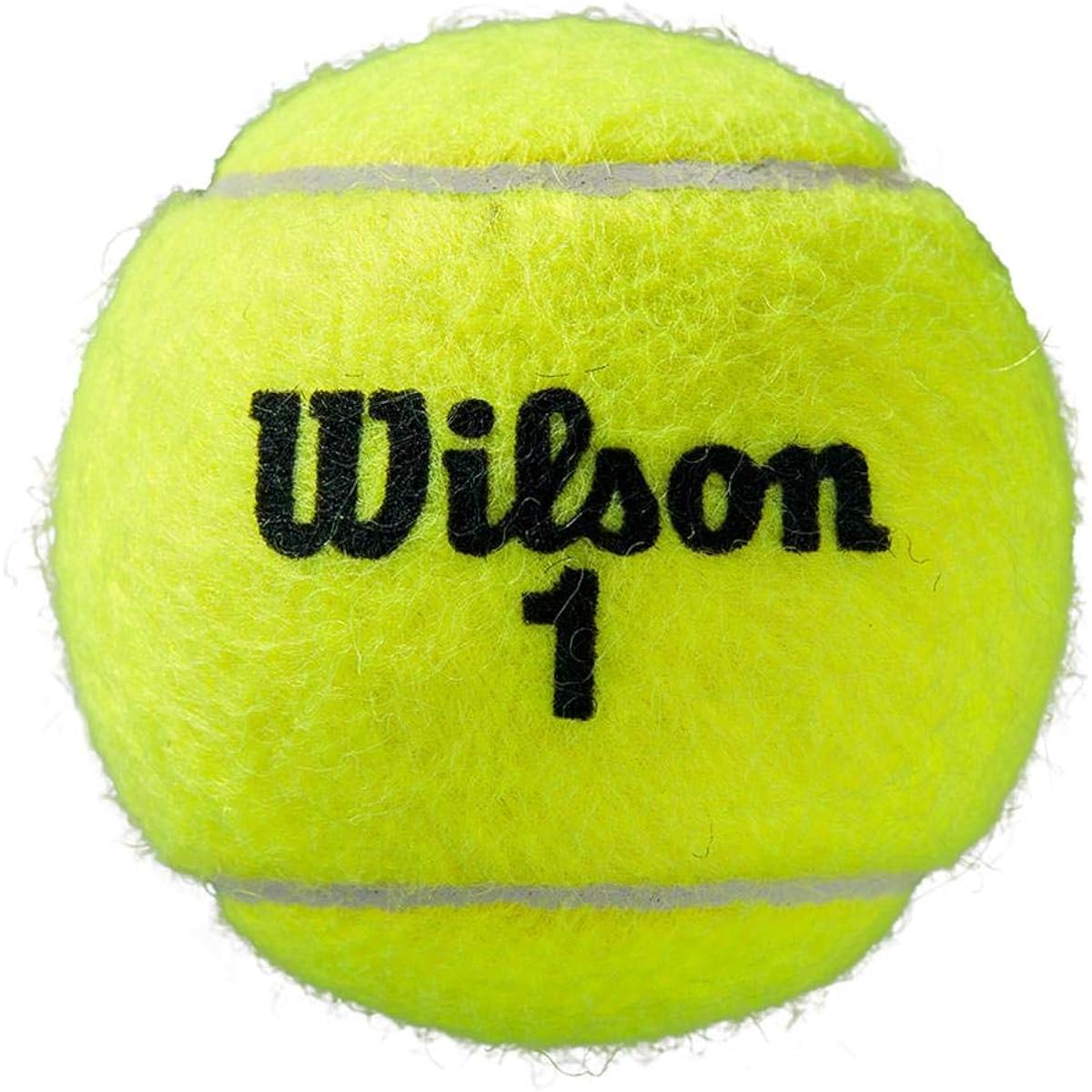 Wilson Roland Garros Clay Court Tennis Ball Case