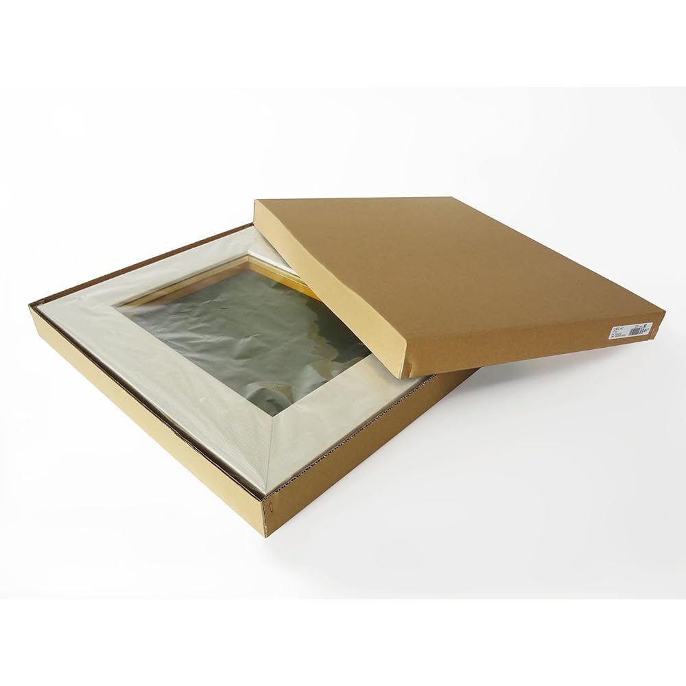 Daisen Frame Oil Painting Frame 3383 No. F4 White Boxed A338V0404