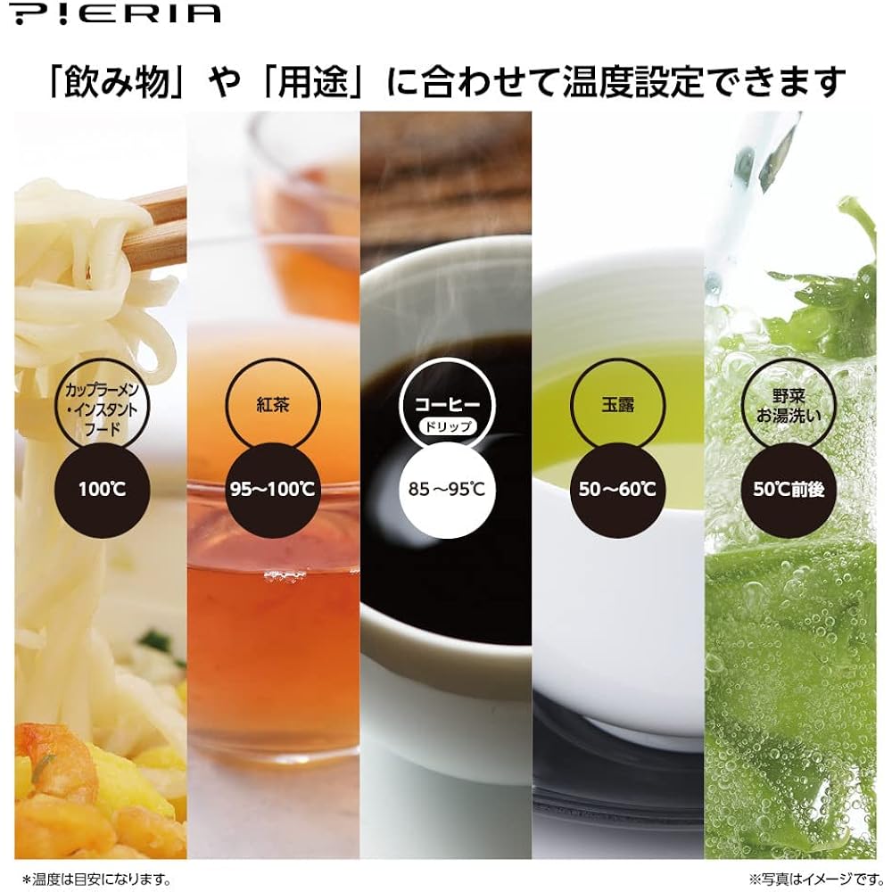 Doshisha Electric Kettle 1.0L Temperature Setting in 1℃ Steps Gray Pieria