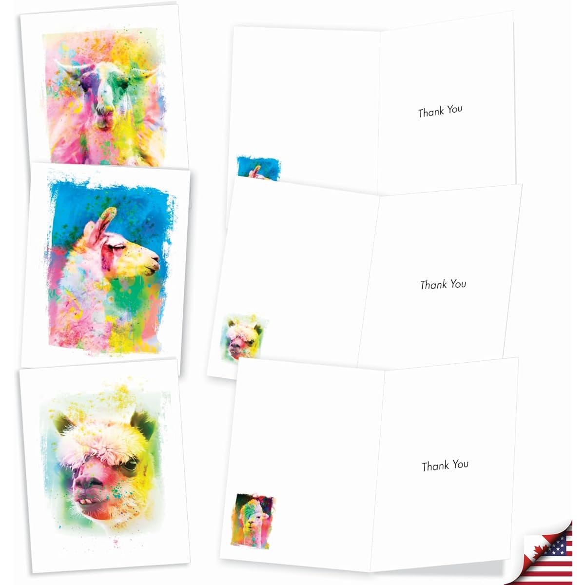 The Best Card Company Funky Rainbow Llama - 20 Boxed Thank You Cards with Envelopes (4 x 5.12 inches) - AM6862TYG-B2x10