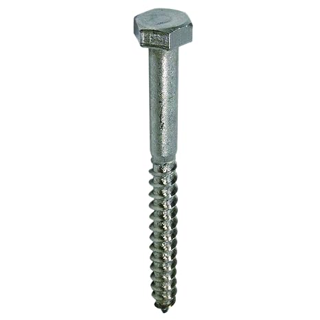 DAIDOHANT Stainless Steel Coach Screw [19 Heads] (Nominal Diameter) 12 x (Length L) 75mm [SUS304] (Approx. 40 Pieces) 40082