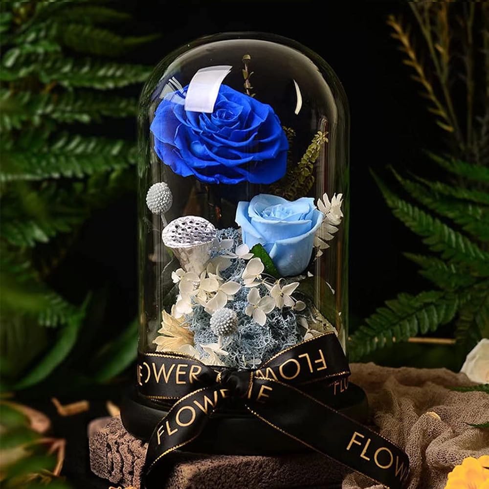 HIMENO Preserved Flowers, Cute, Rose, Blue Rose, Never Wither, Flower Message Card, Stylish, Glass Dome, LED Light, Beautiful, Beautiful Wooden Base, Hydrangea Romantic, Anniversary, Celebration,