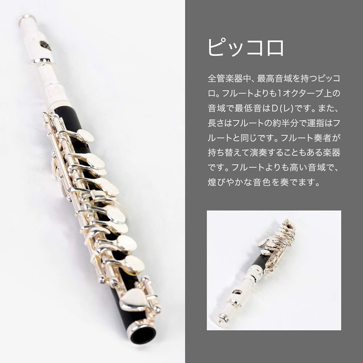 Soleil Piccolo SPC [Semi-hard case included]