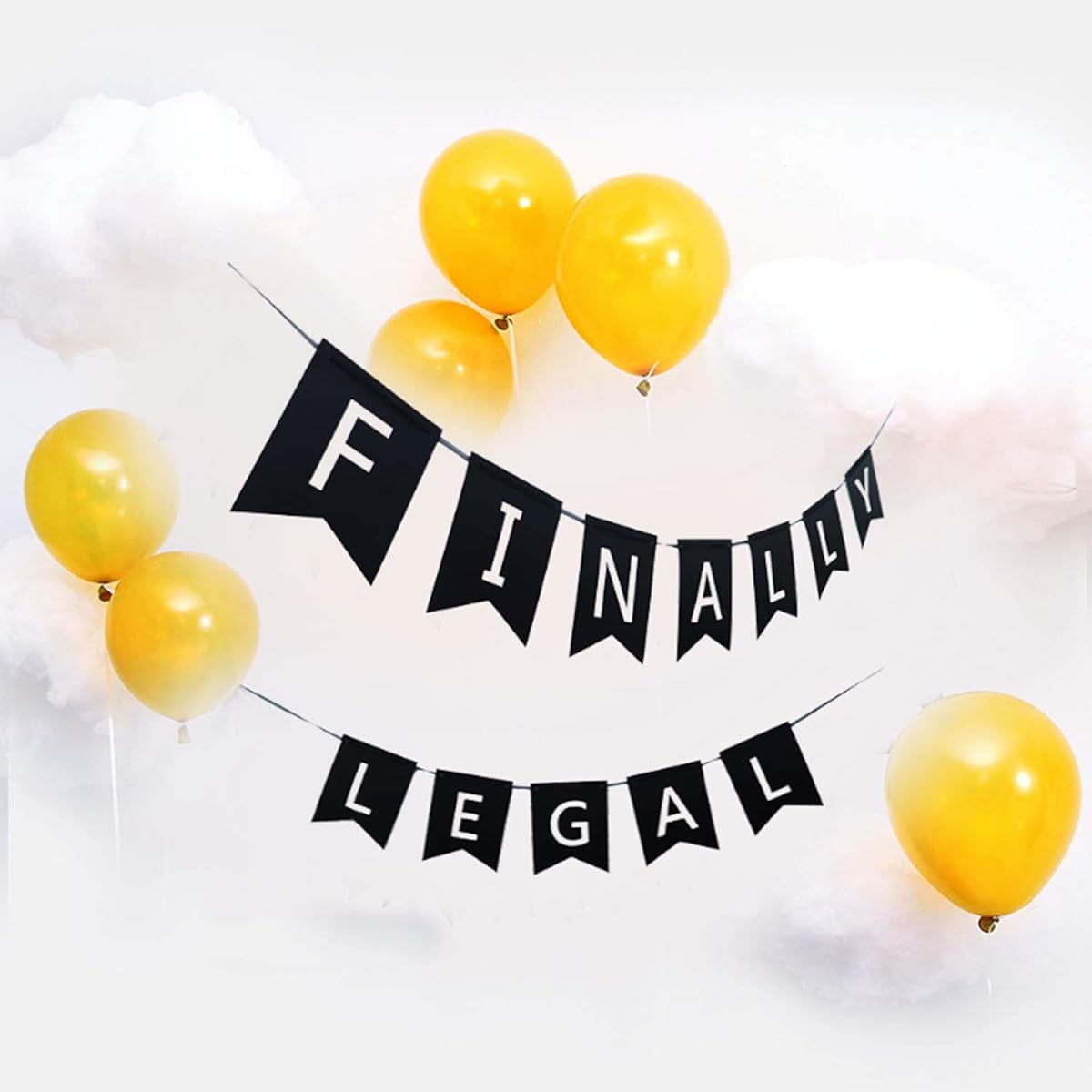 21 Finally Legal 21st Birthday Decorations Black and Silver Finally Legal Party Banner 21st Birthday Party Sign