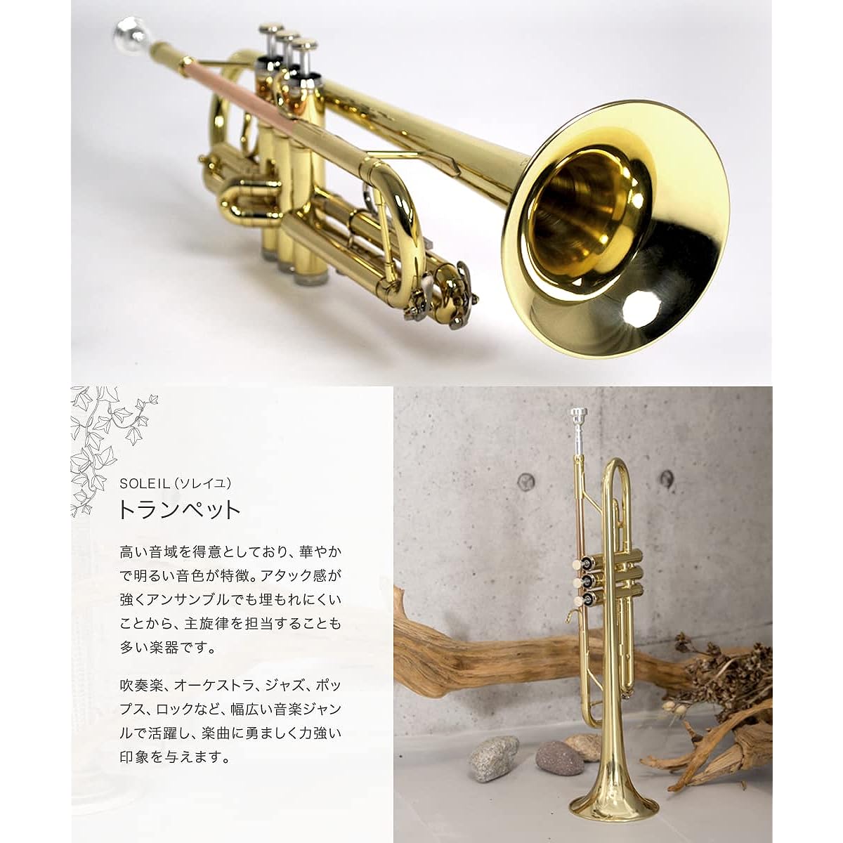 Soleil Trumpet Sakura Musical Instrument Original Beginner Introductory Set/GD