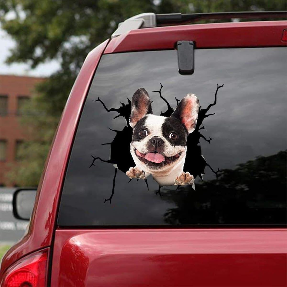 Ocean Gifts Boston Terrier Car Decal Wall Decal Sticker Set of 2 Realistic Car Stickers Design Series 22 Sizes 12" x 12"