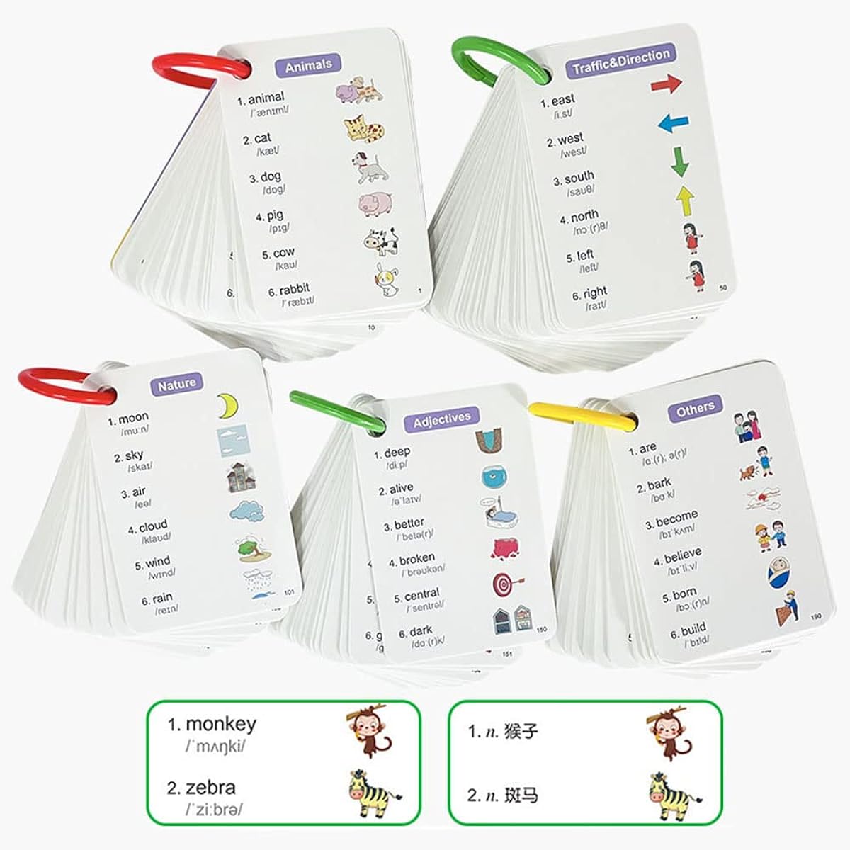 Bilingual flash cards in English and Chinese.