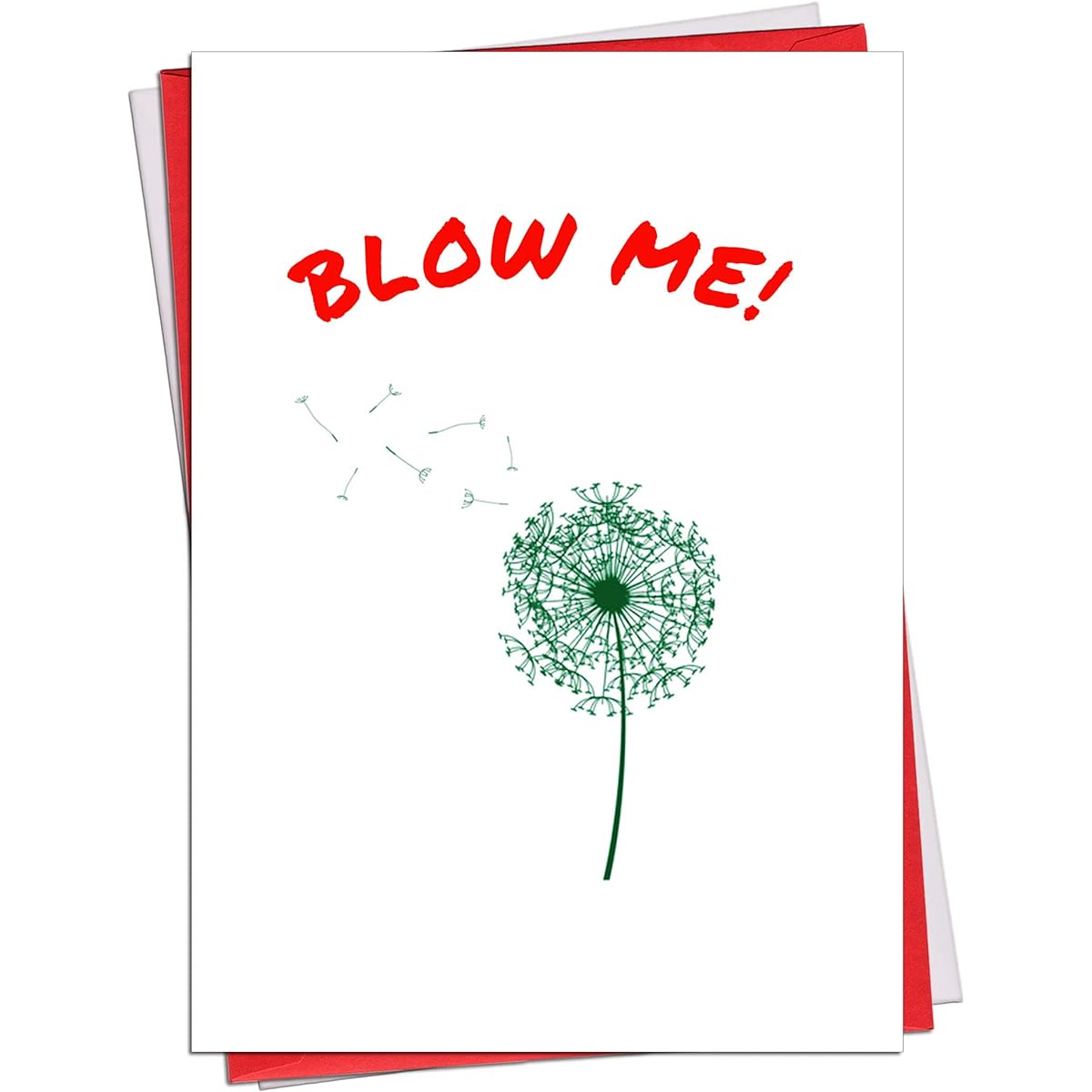 Ikassong Funny Prank Birthday Card with Envelope 5.3" x 7.6" #63