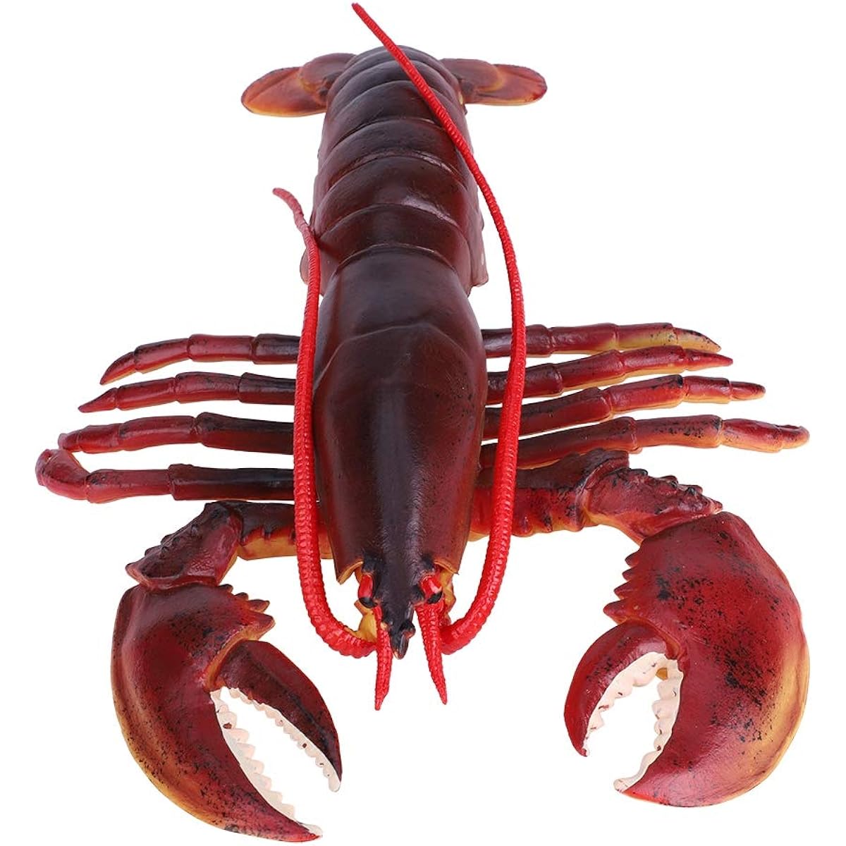 GLOGLOW Lobster Model Artificial Lobster Seafood Model Simulation Lobster Model Plastic Lobster Decoration Home Party Decoration Display Kids Toy (Dark Australian Lobster 9 Inch)