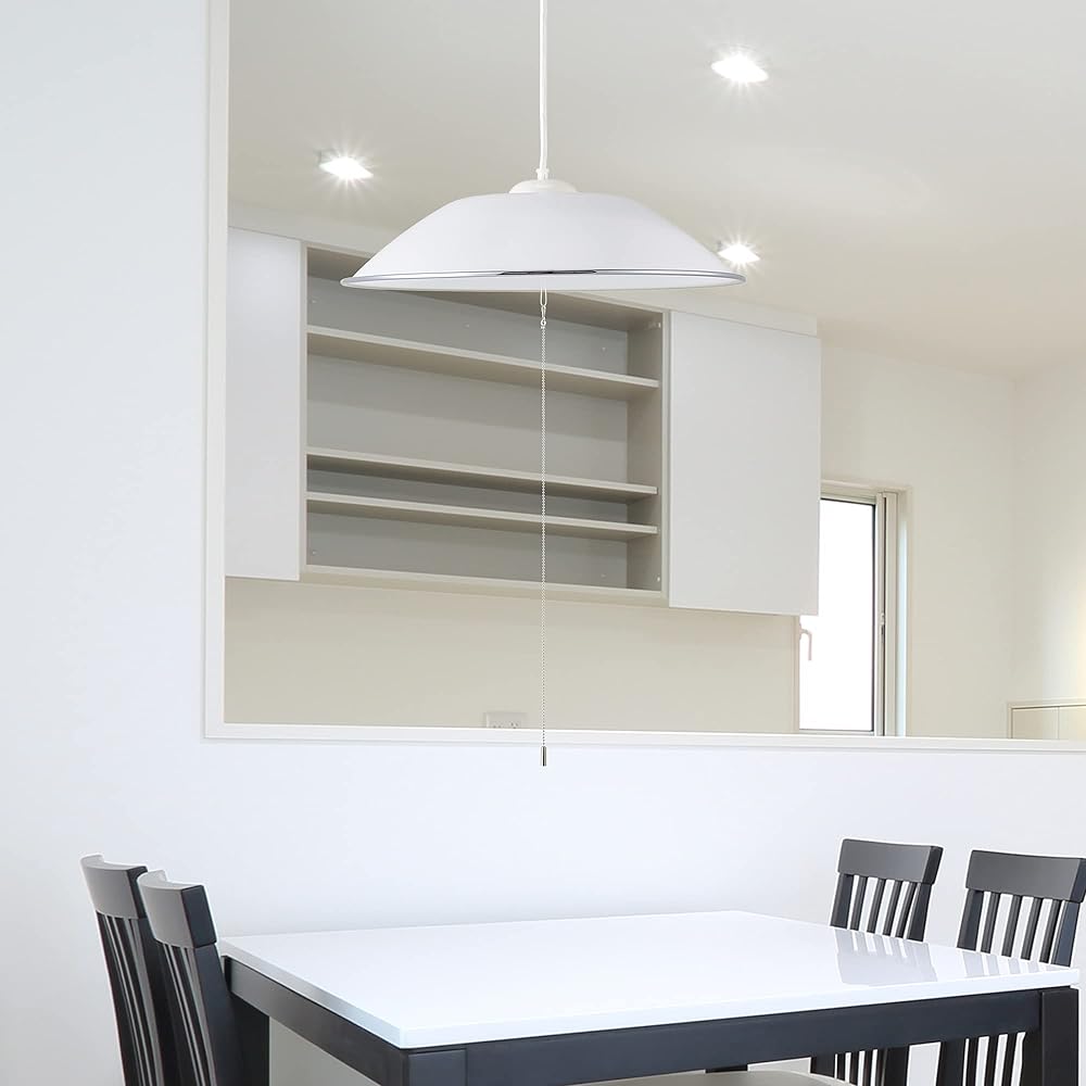 Ohm Denki LED Western-style pendant light for 8 tatami mats, daylight color LT-Y40D8G-W1 06-3873 OHM White