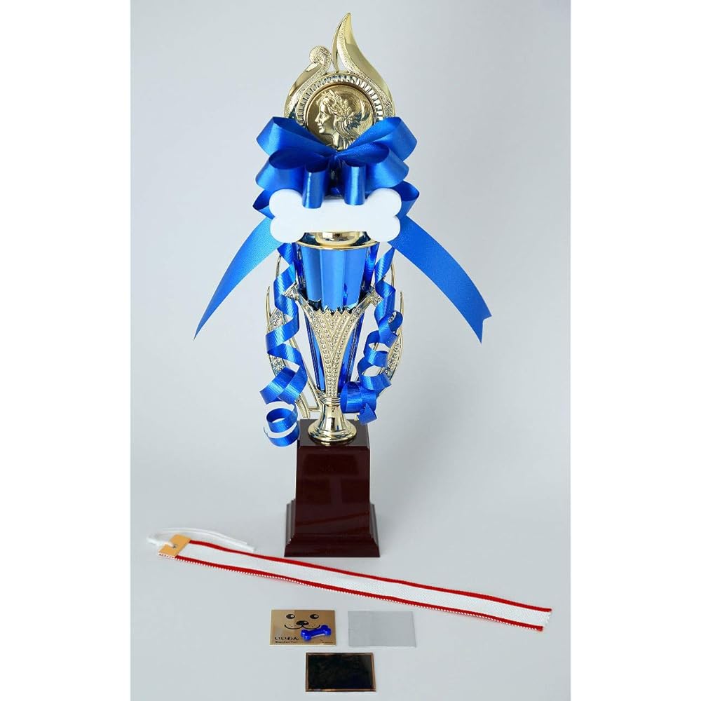 Trophy with text TV8905G (Like/Dog) 34cm For winning various sports and cultural tournaments! A great reward for children and women! Also includes a handwritten red ear pennant ribbon with a bone-shaped badge and a silver plate!