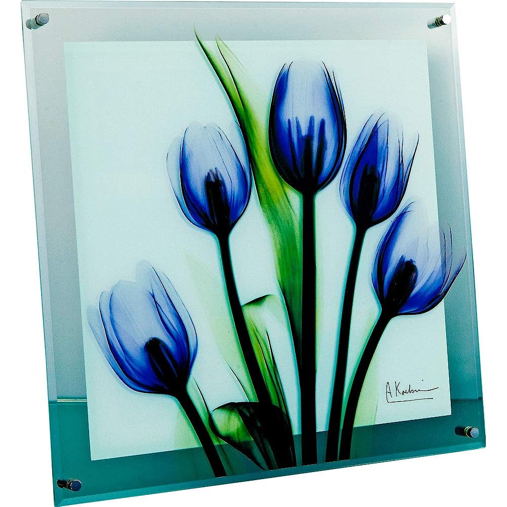 U-Power Plants/Flowers Purple W36 x H36 x D2cm