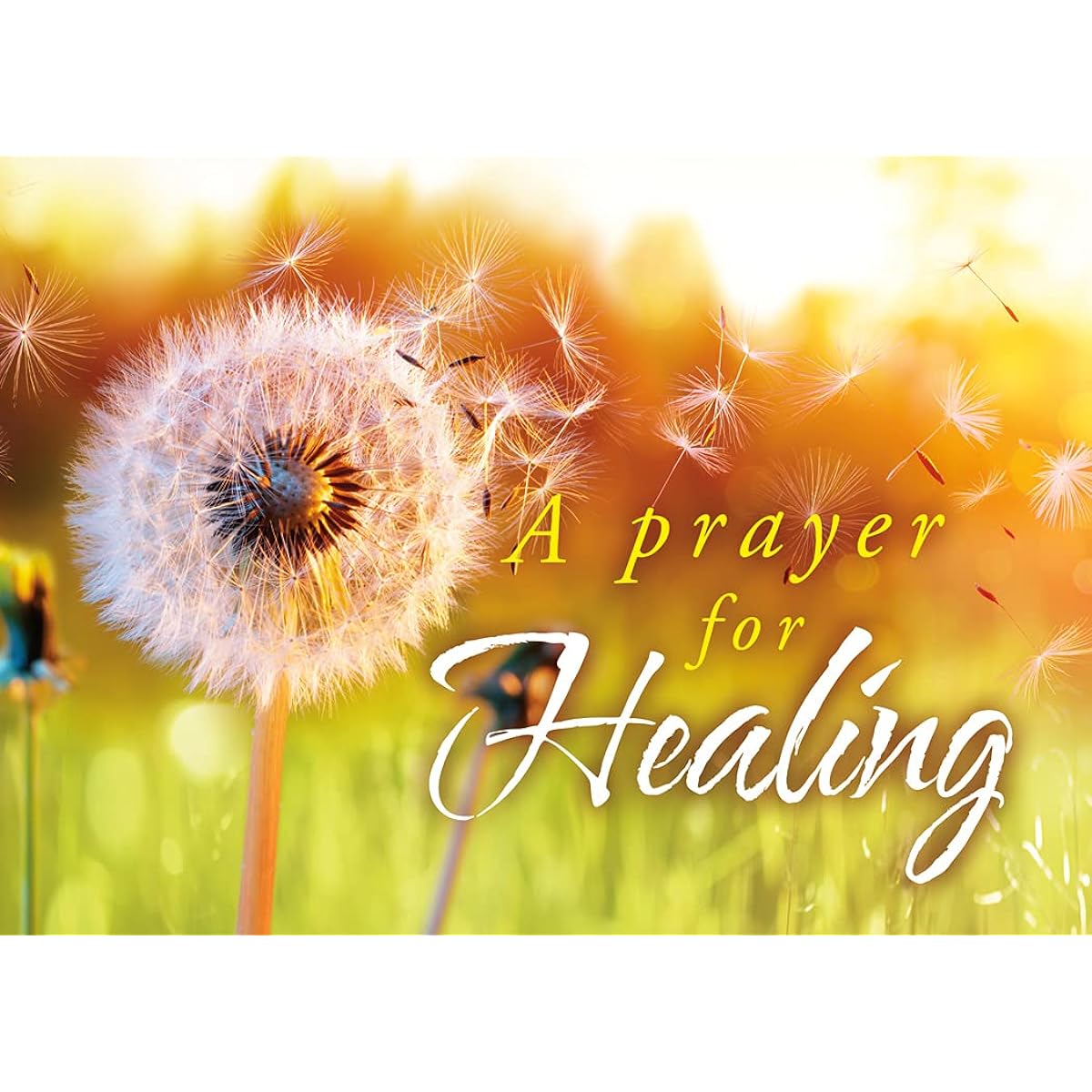 Get Well Wishes - Get Well Greeting Cards - KJV Bible (Box of 12)
