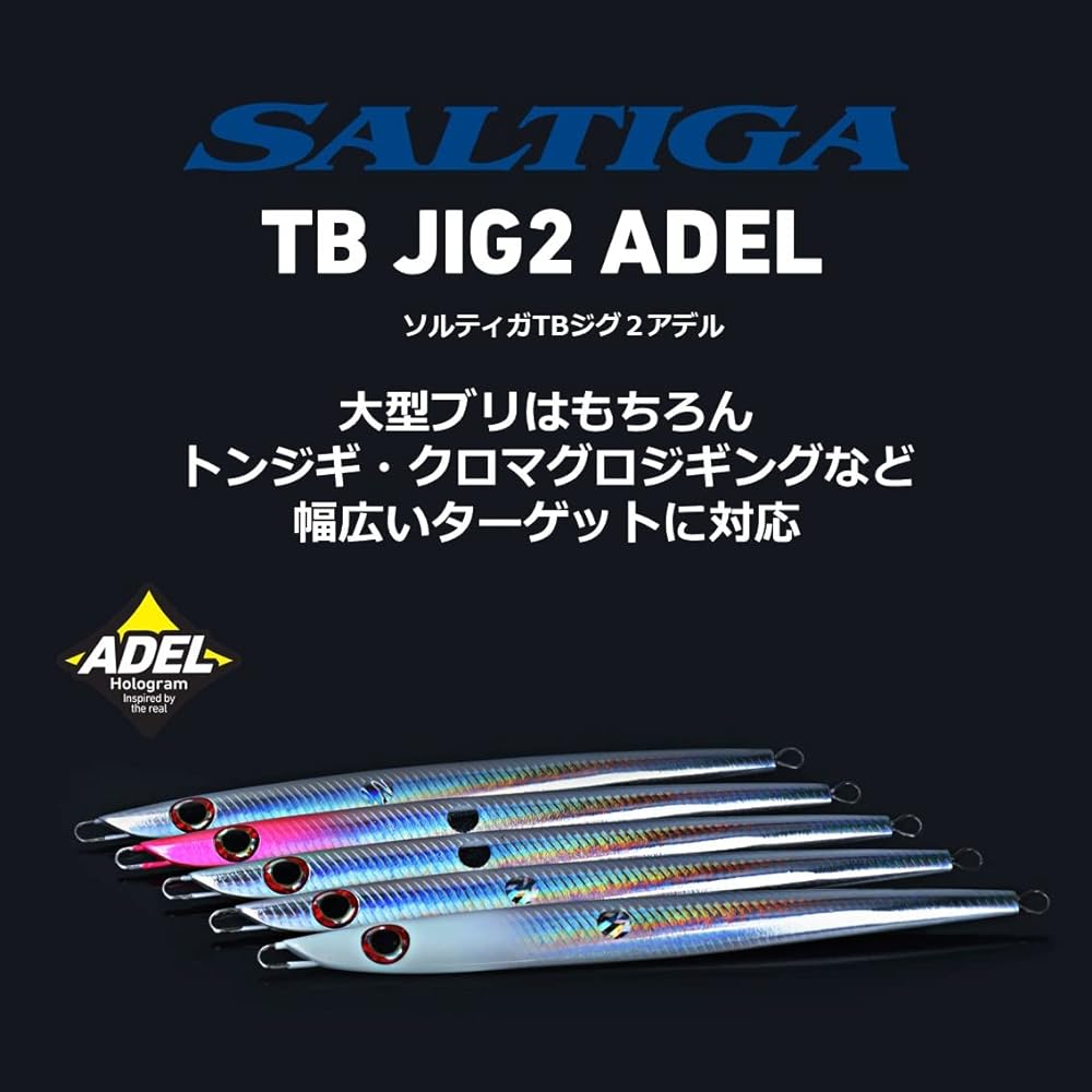 DAIWA SG (Shore Jigging) TB Jig 2A Various