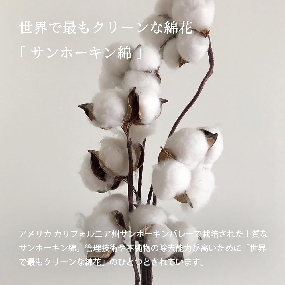 Tramparan Imabari Towel Bath Towel Set of 2 Luxe Made in Japan Thick Hotel Specifications Water Absorbing 100% Cotton (Cocoa Brown)