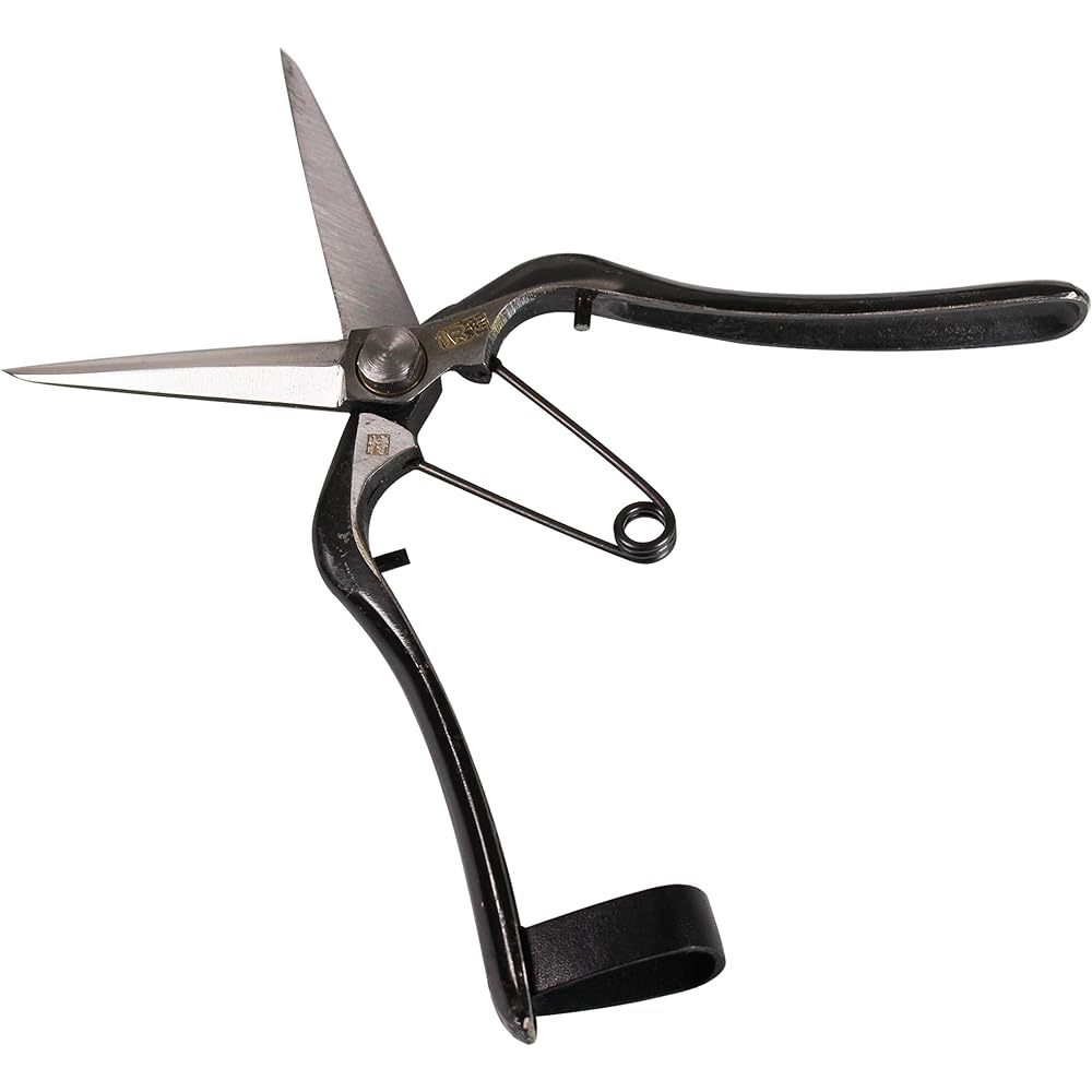 Itto-ryu Mekiri shears, straight, in a pasted box