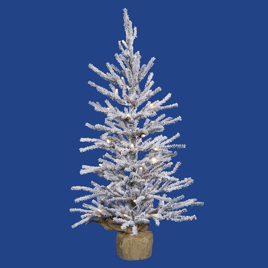Vickerman B165225LED Frosted Angel Pine Artificial Christmas Tree with 239 PVC Chips & 35 Dura-Lit Italian LED Mini Lights on Burlap Base, 24 x 14 Inch, Warm White