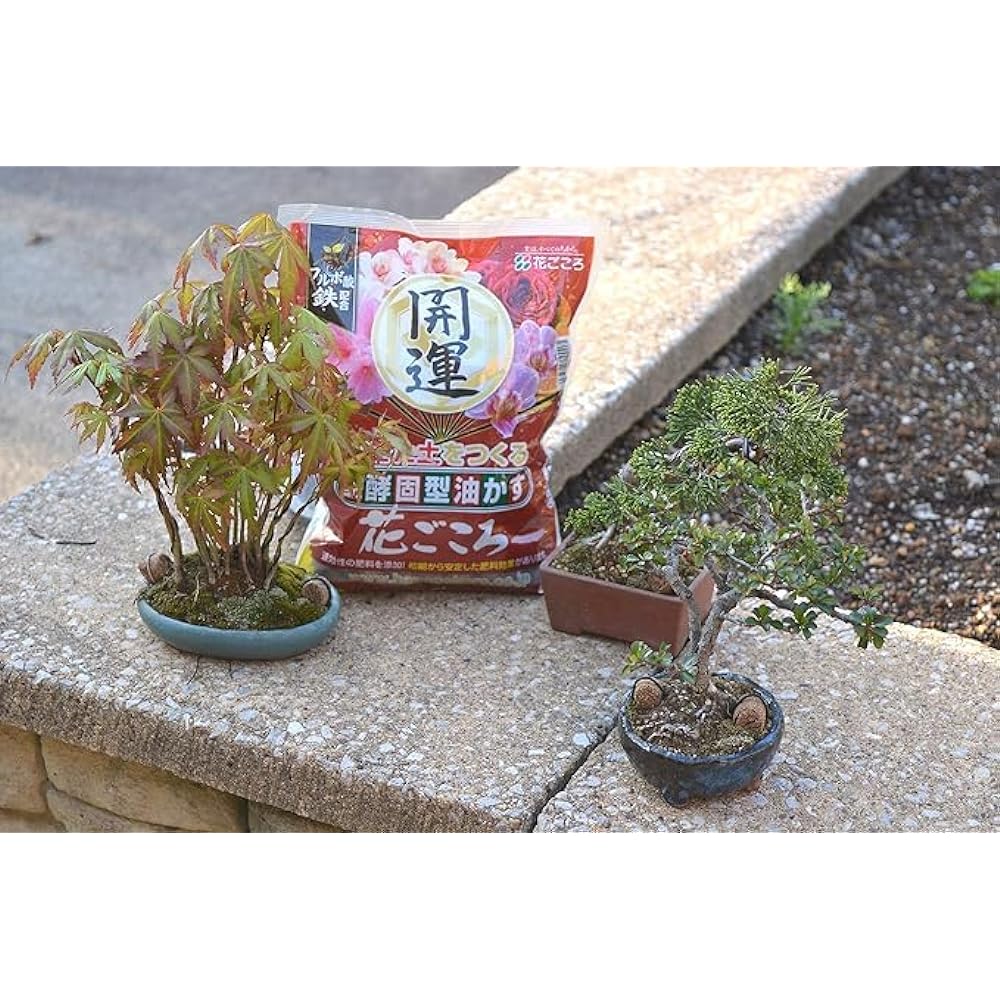 [Case sales] Hanagokoro Aburakasu Good Luck Large 3kg x 6