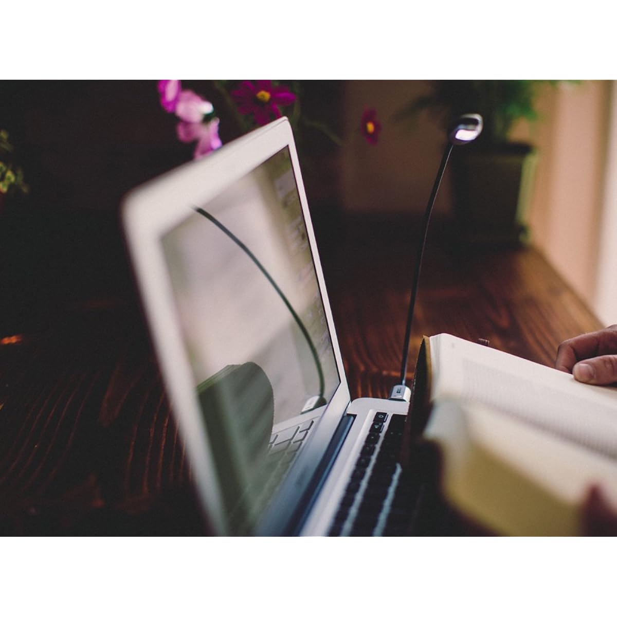 Mighty Bright USB type music stand light Music Light Mighty Bright XTRAFLEX-USB