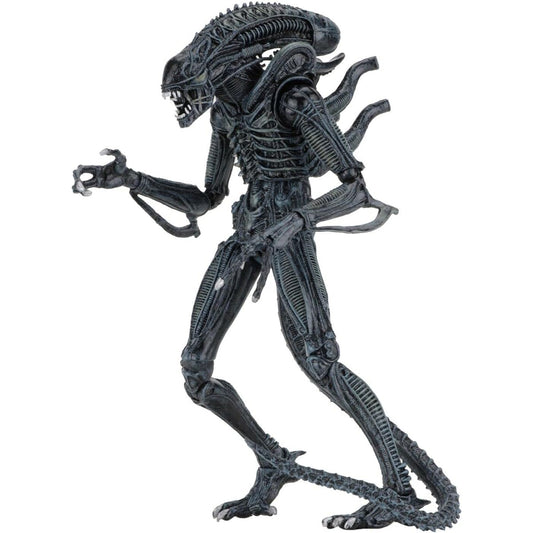 NECA - Alien- 18cm Scale Action Figures - Ultimate Warrior - (1986) Blue Alien