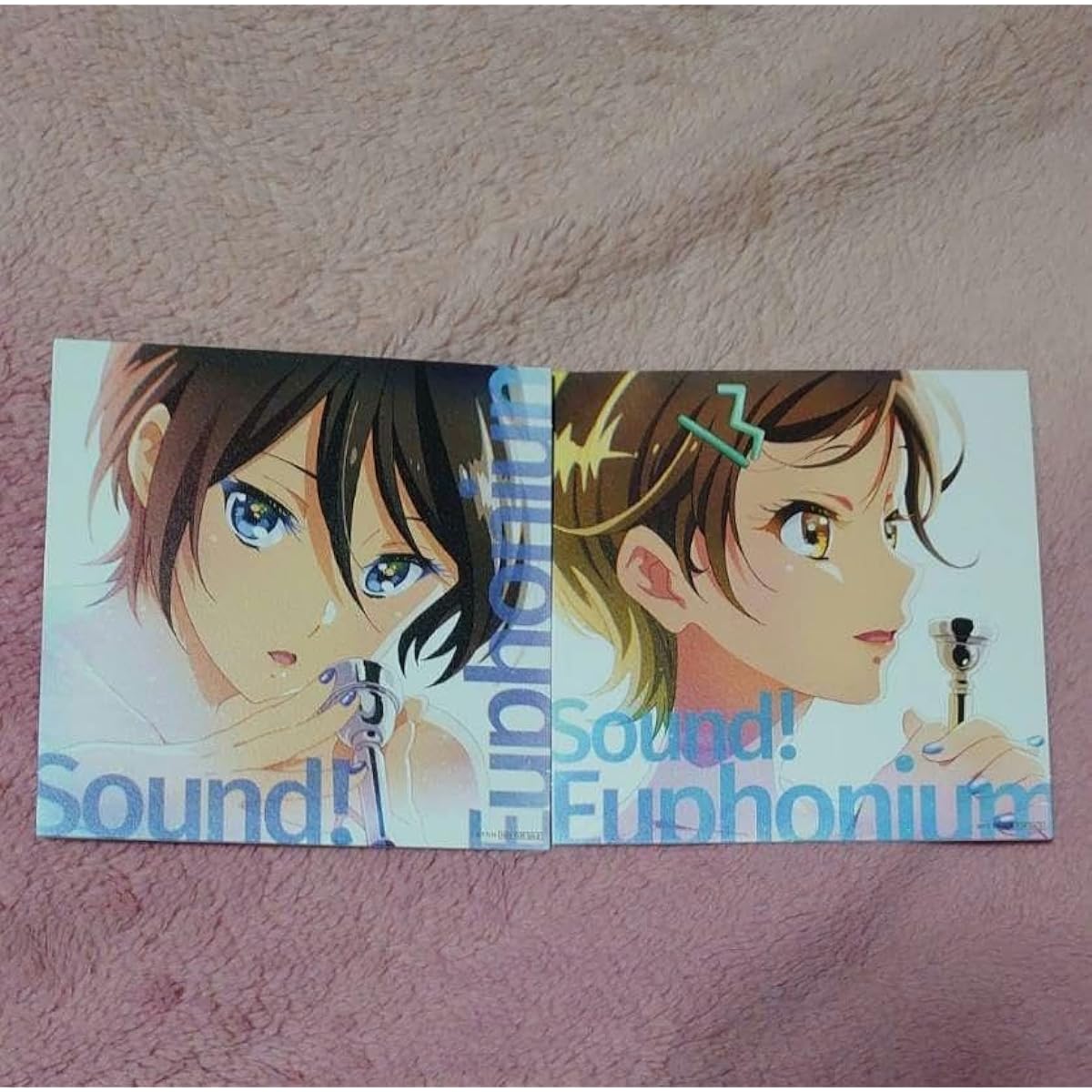 Special Edition: Sound Euphonium Ensemble Contest Admission Bonus