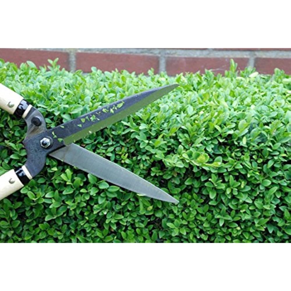 Okatsune Scissors Factory Okatsune 216 Okatsune Cutting Scissors Type 55 Short Handle 7743ai