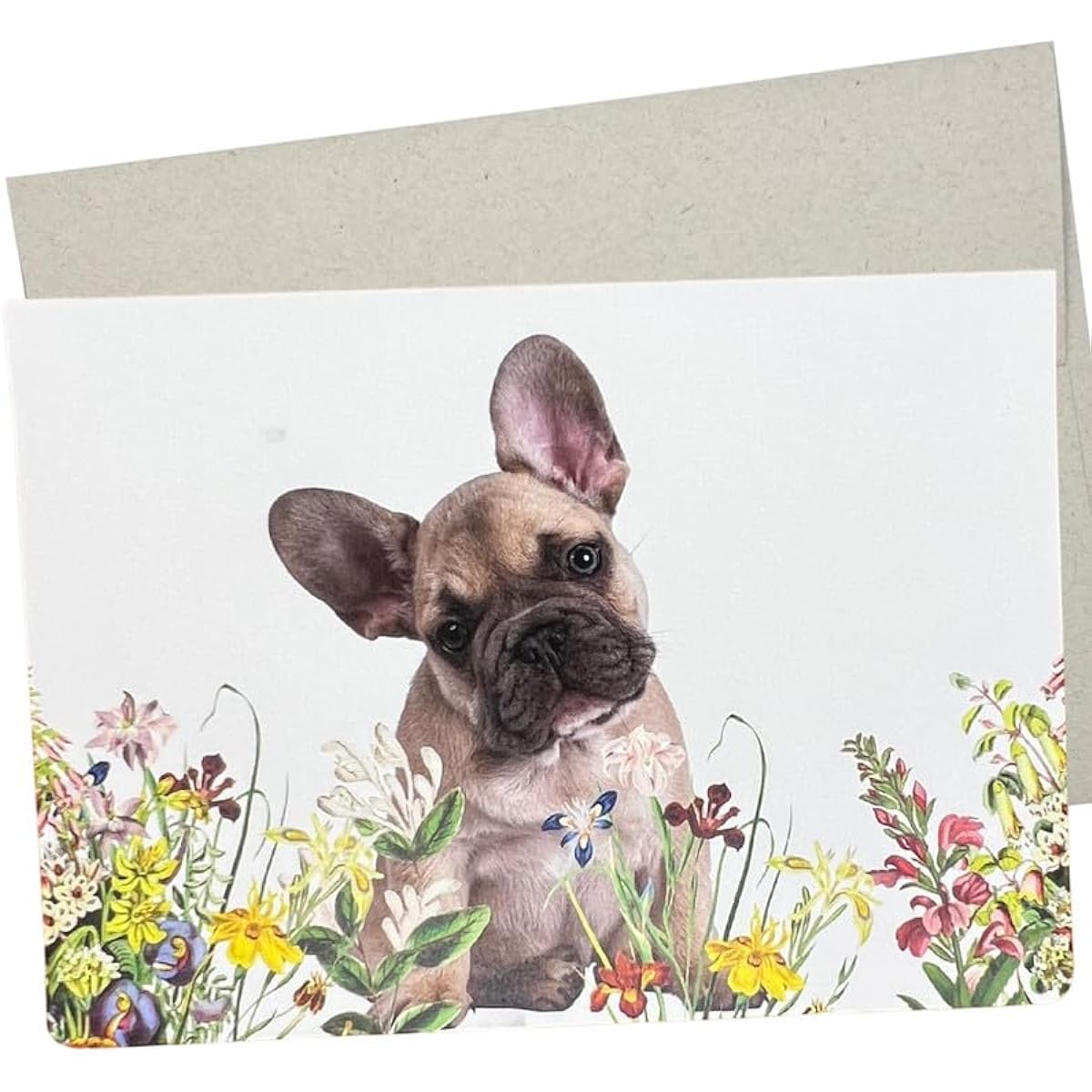 French Bulldog Card Frenchie Birthday Card (1 Premium Quality Folded Card, Blank Inside, 5x7 Inch) Dog Cards Perfect for Anniversary, Wedding, Get Well, Thank You - 401