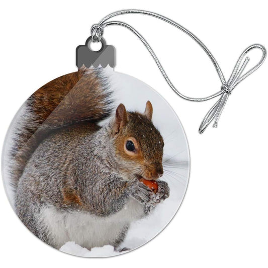Winter Eating Squirrel Acrylic Christmas Tree Holiday Ornament
