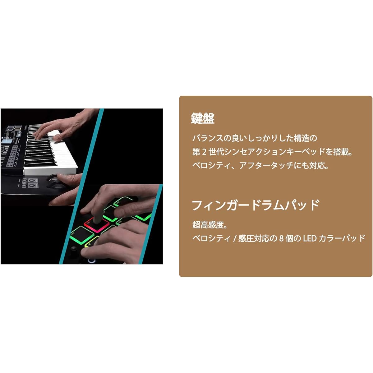 Nektar Technology PANORAMA T4 DAW linked MIDI keyboard controller with plug-in control function/fader/transport button/pad [domestic genuine product]