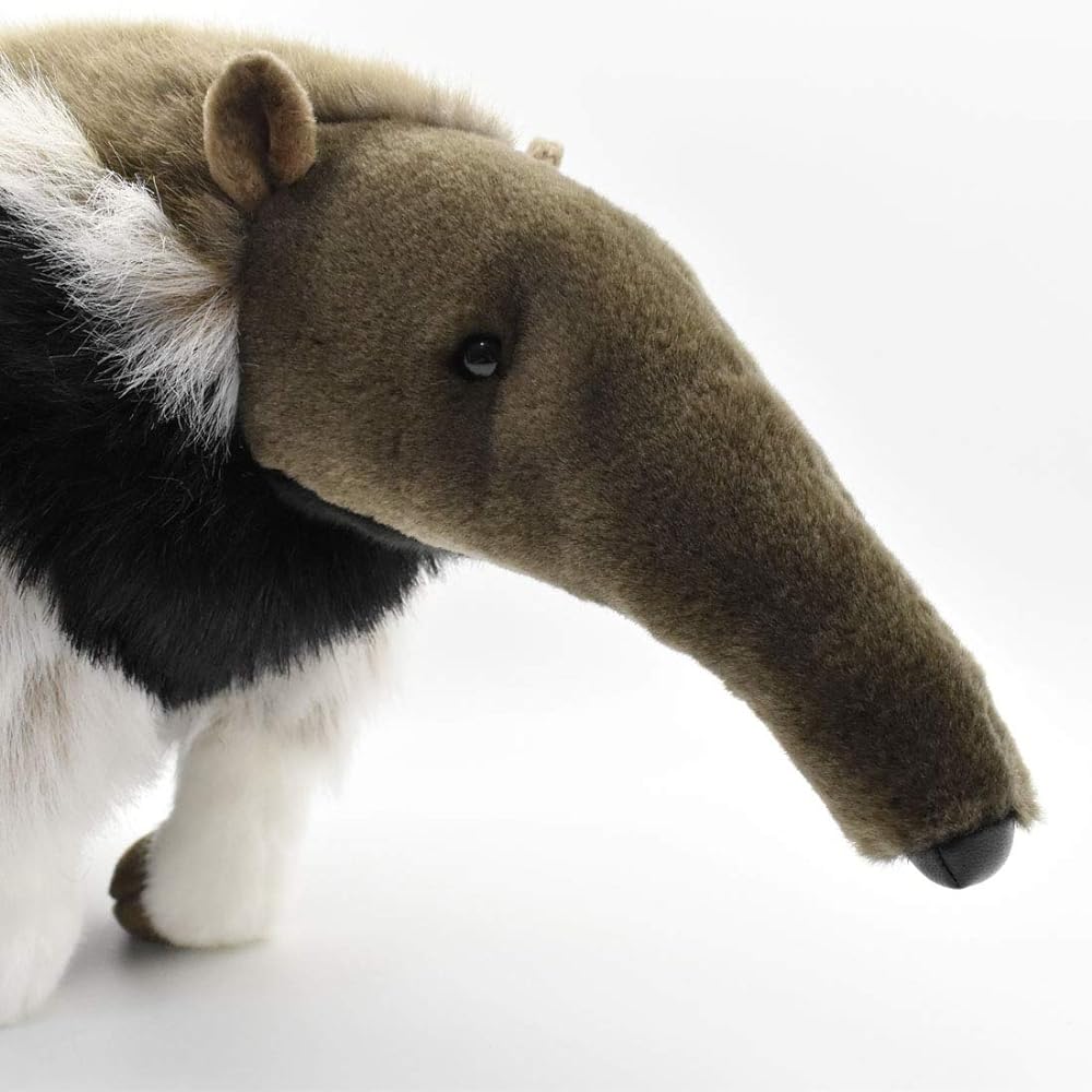 Giant anteater 7 No.3987