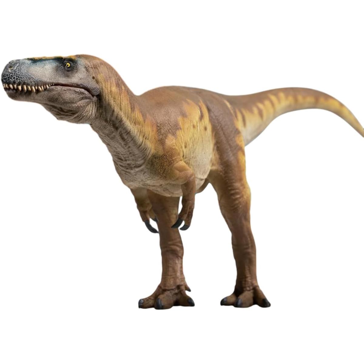 PNSO 74 Megalosaurus Edward Teratosaurus Figure Prehistoric Animal Dinosaur Model Fascinating Collection Set Realistic Great Decorative Gift for Adults