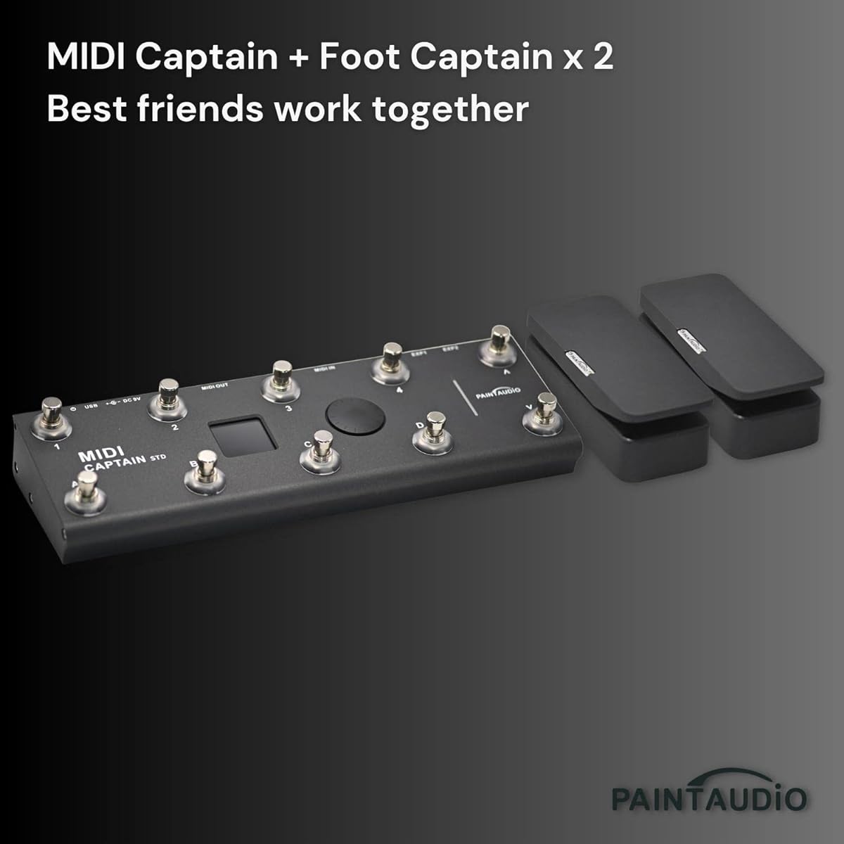 Paint Audio Foot Captain Dual Output Expression Pedal Multi-Effects Supports Tip/Ring Connection (Foot Captain)
