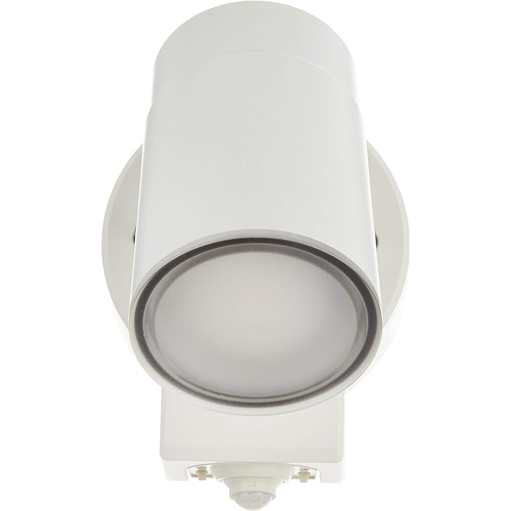 Koizumi Lighting Exterior Spotlight Diffused White AU50449