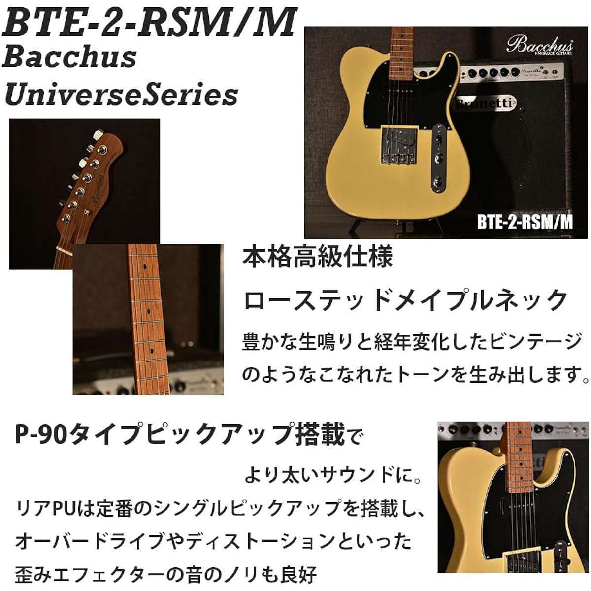 Bacchus BTE-2-RSM/M Electric Guitar Beginner Set with Roasted Maple Neck Telecaster Type Universe Series Electric BTE2 RSM Beginner (BLK)