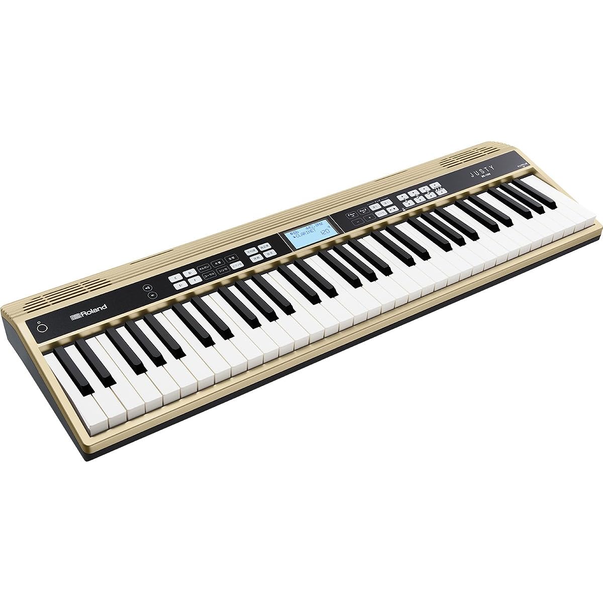 Roland Roland/JUSTY HK-100 Harmony & Rhythm Practice Keyboard