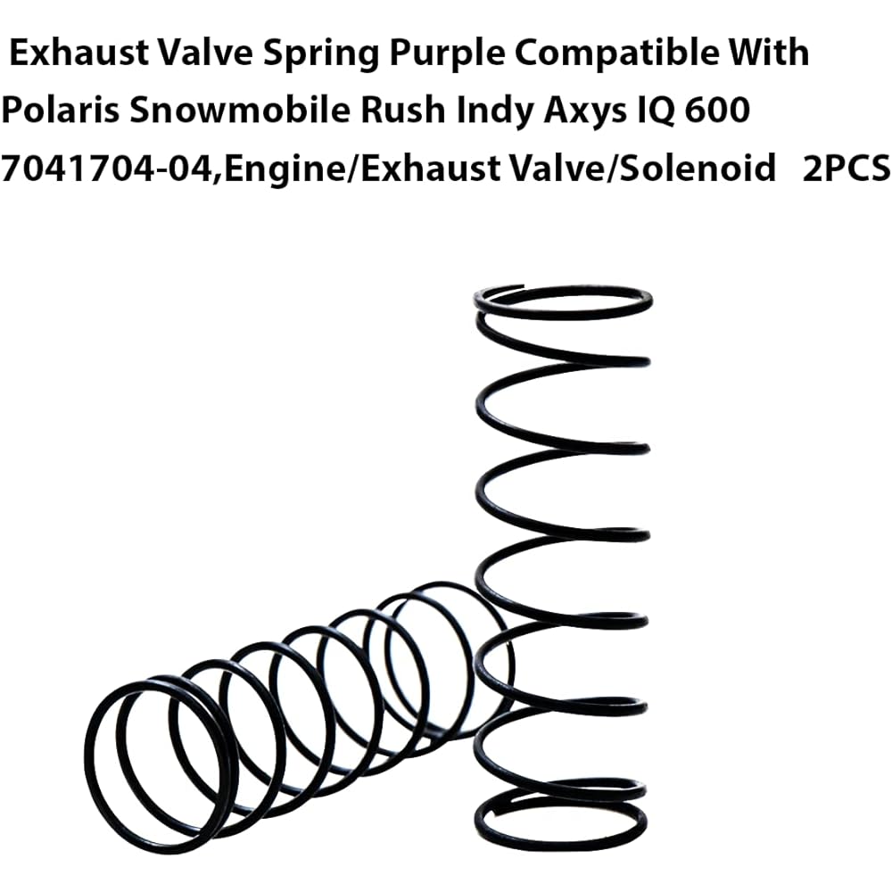 2pcs Exhaust Valve Spring Purple Compatible with Polaris Snowmobile Rush Indy Axys IQ 600 7041704-04 Engine/Exhaust Valve/Solenoid