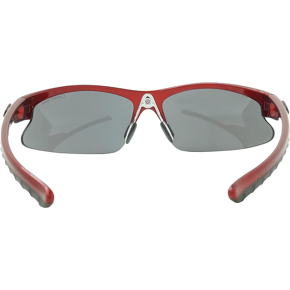 ALPINA DRIBS 2.0 Sunglasses