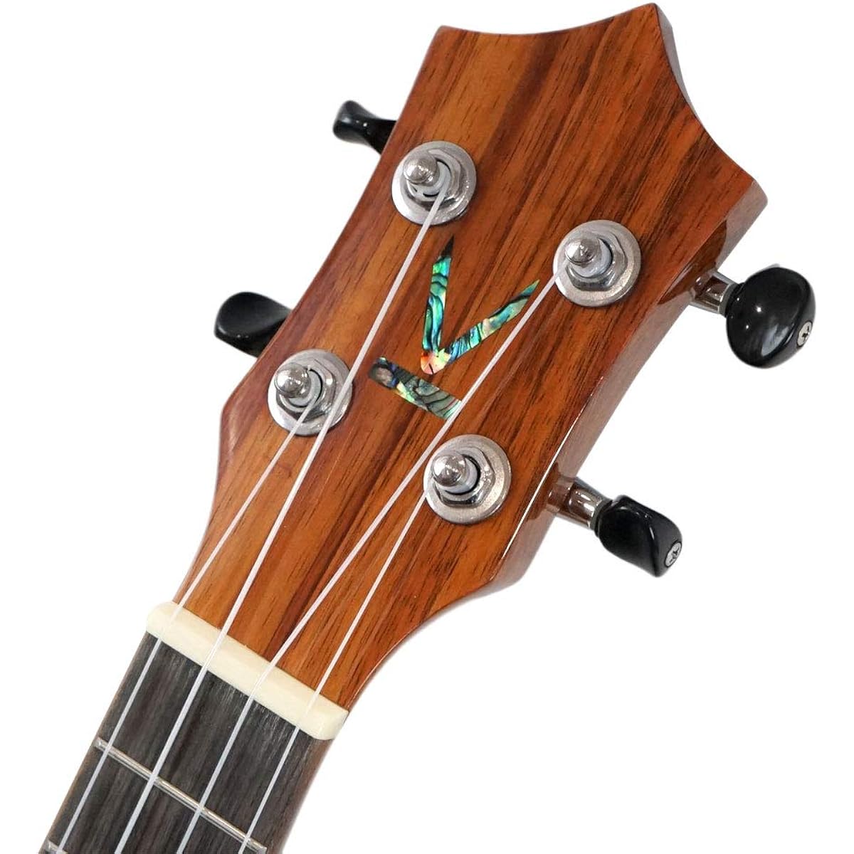 KUMU UKULELE CG55A Concert Ukulele High Gloss Specification Dedicated Gig Bag Included