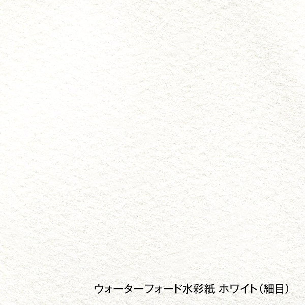 Holbein Waterford Watercolour Paper, White, 190g, Fine, Medium Size (560 x 760mm), Pack of 10, 261607