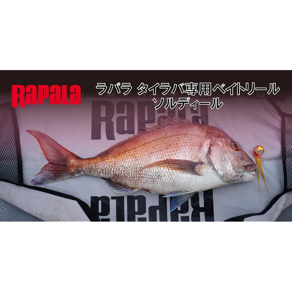 Rapala Tairaba Bait Reel Soldir 200R 7.0:1 202g #1-200m Also for offshore casting