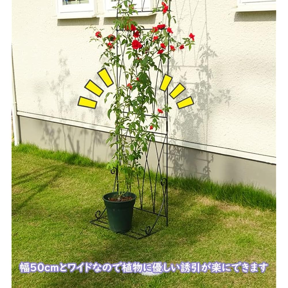 Flower Arch Trellis Half Arch Made in Japan Domestic Rose Iron Gardening Gardening Kobayashi Hardware Green Garden