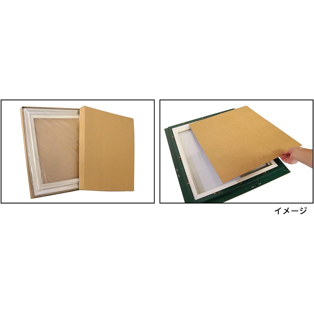 Daisen Picture Frame Hairline Silver F8 Oil Frame BT-01 A424F0601