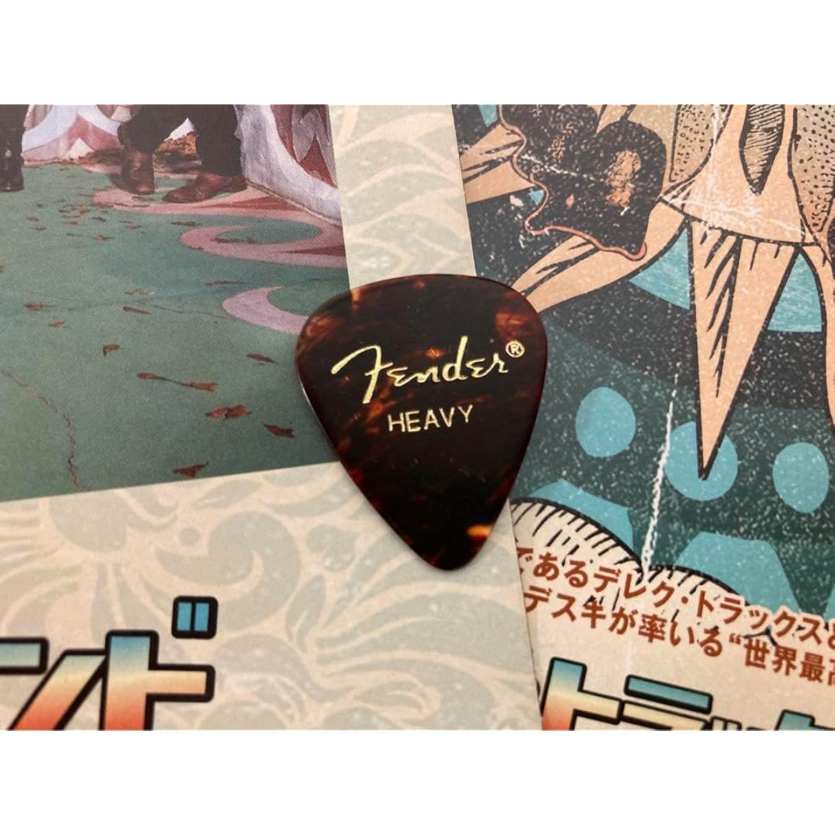 Tedeschi Trucks Band Susan Tedeschi 2023 Japan Tour Guitar Pick