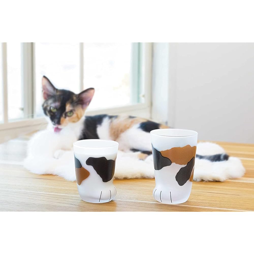 Tumbler coconeco glass coconeco parent cat [300ml / 4 pattern assorted set] in special craft box, made in Japan
