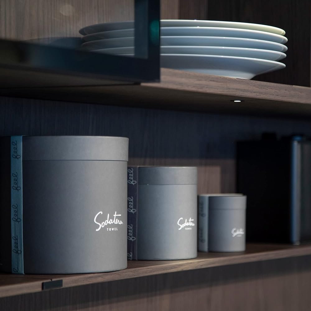 Nurture Towel ``Feel'' Bath Towel Gift Set of 2 (Moon Greige x Mist)