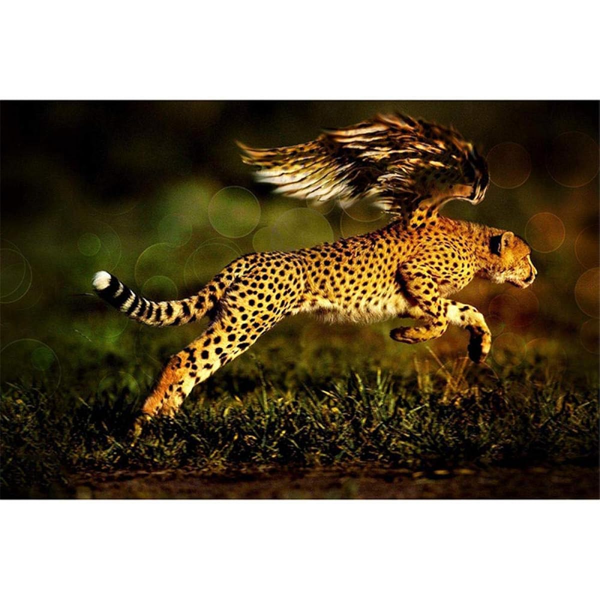 Jigsaw for Adults 4000 Pieces - 4000 Piece Jigsaw Puzzle for Adults Leopard Grass is an ideal gift for the whole family, the jigsaw puzzle is - 55.70x34.44 inches (141.5 x 87.5cm)