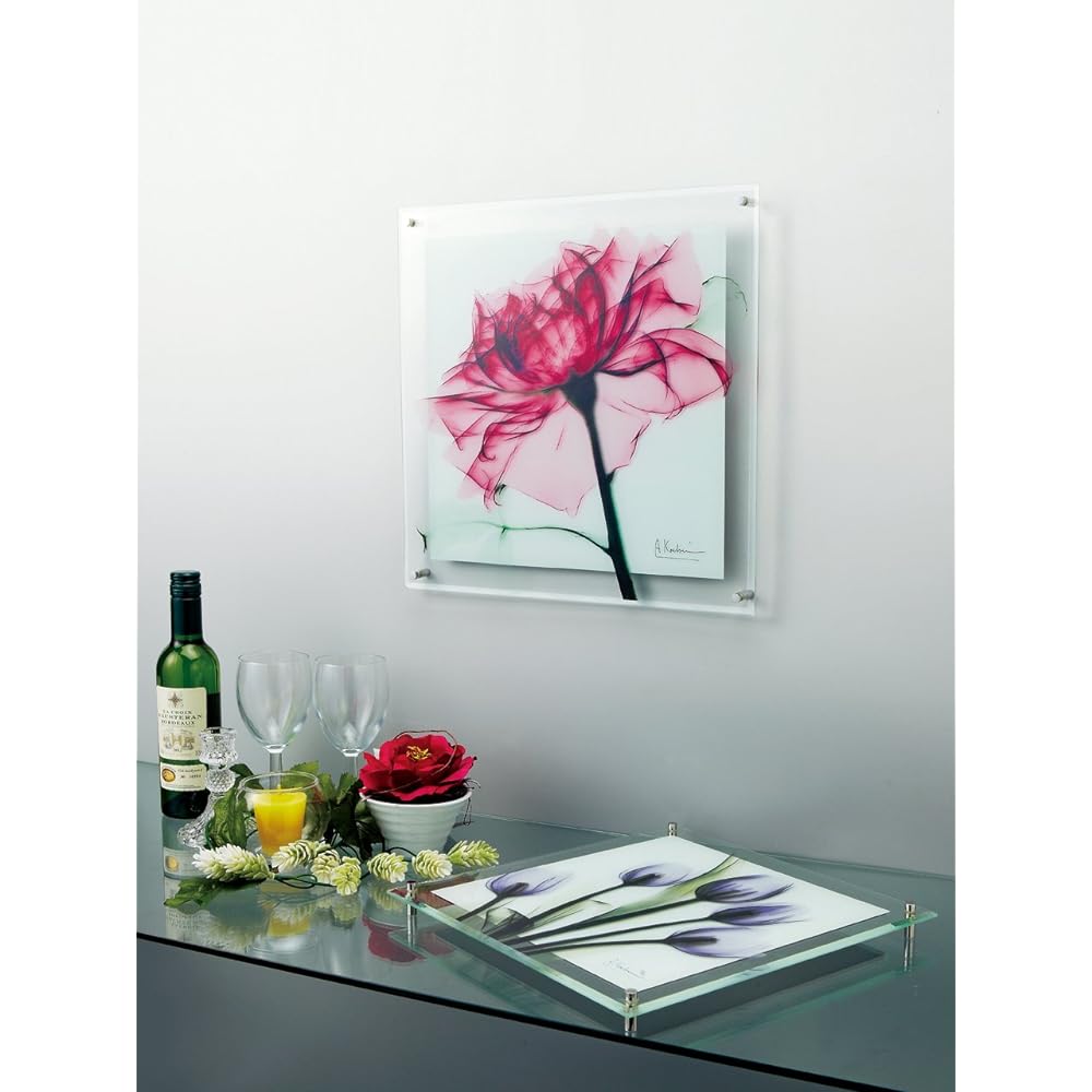 U-Power Plants/Flowers Purple W36 x H36 x D2cm