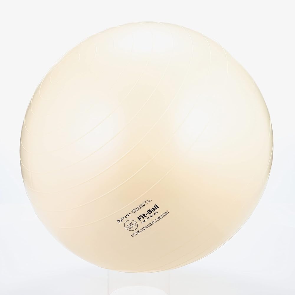 DANNO Balance Ball Gymnic Fit Ball