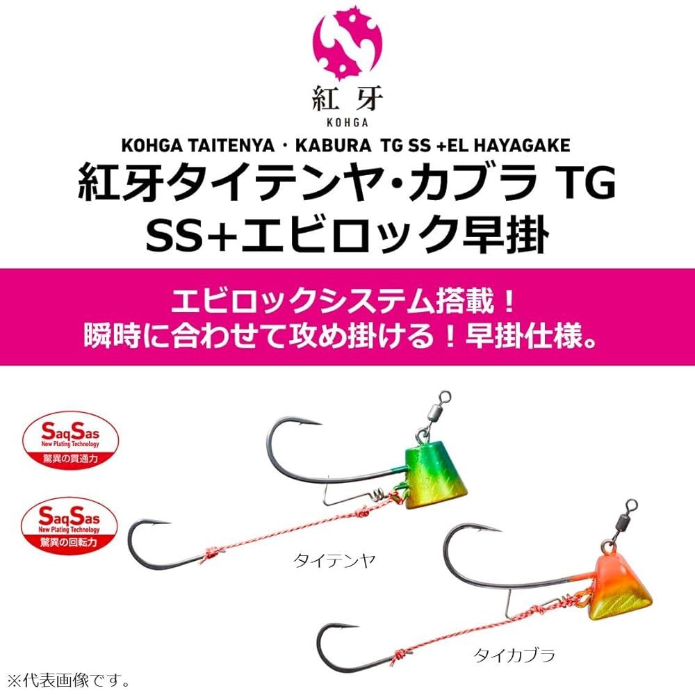 DAIWA Beniga Taikabura TG SS+Ebirock Hayakake No. 8