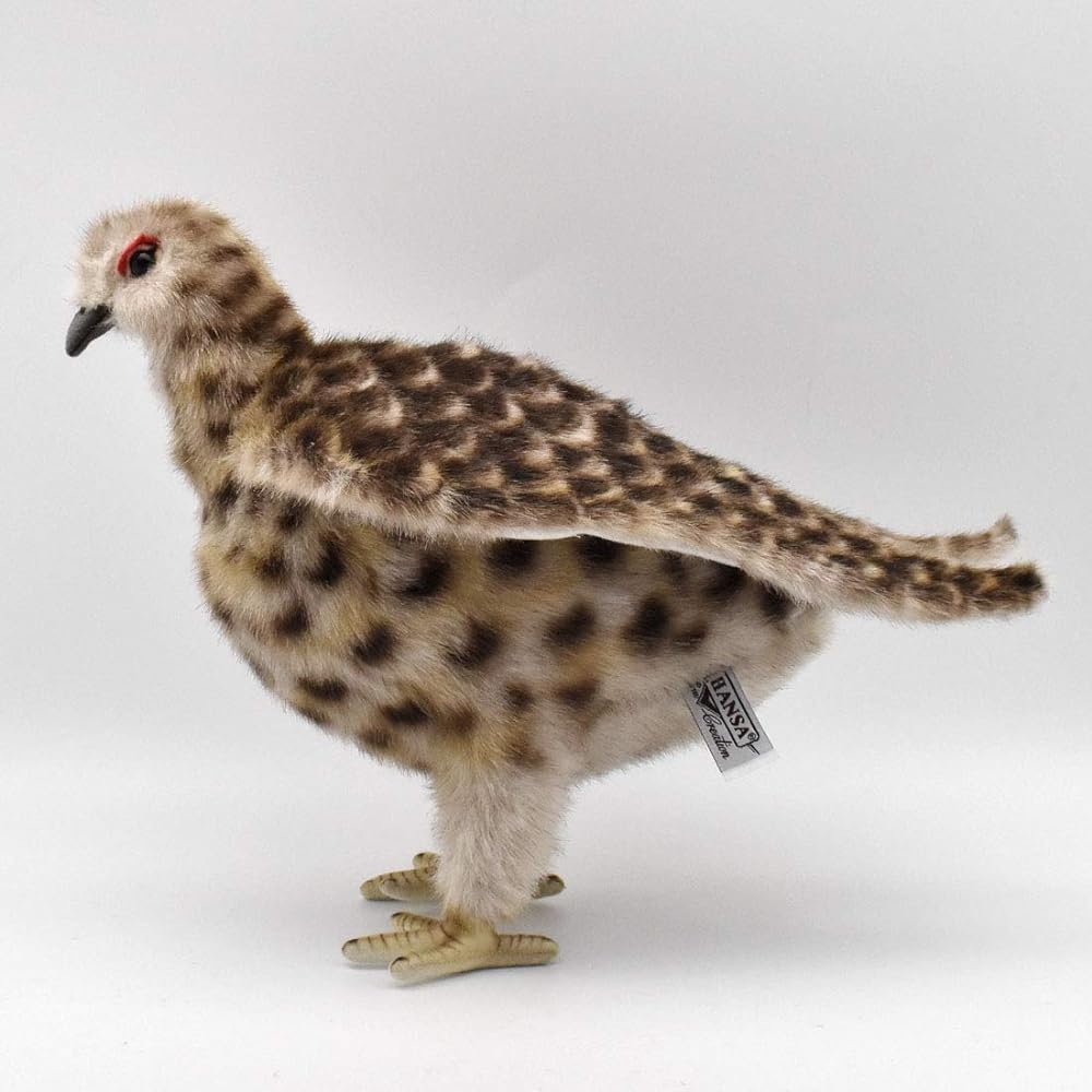 BH7647 HANSA Grouse Summer 28